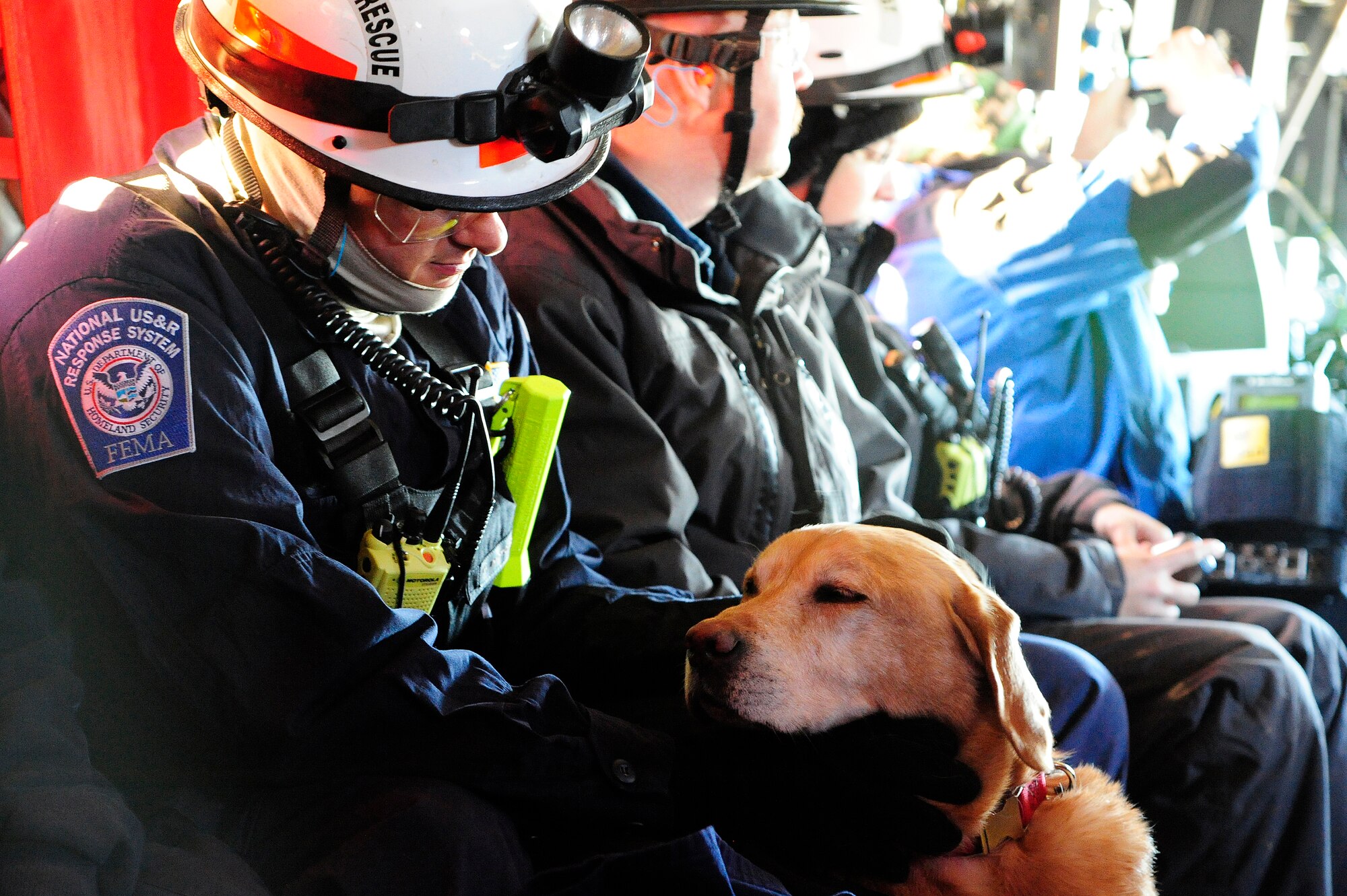 JOINT BASE MCGUIRE-DIX-LAKEHURST, N.J. – Dominic Dipietco, a specialist with the Maryland Urban Search and Rescue Task Force, pets search dog Jed aboard a U.S. Army CH-47 helicopter assigned to the Georgia Army National Guard on a flight from Joint Base McGuire-Dix-Lakehurst, N.J. to Staten Island, N.Y. to conduct house-to-house searches, Nov 3, 2012.  Maryland Task Force one is part of the National Search and Rescue Task Force recovery effort in the aftermath of hurricane Sandy.  (U.S. Air Force photo by Tech. Sgt. Parker Gyokeres/Released)