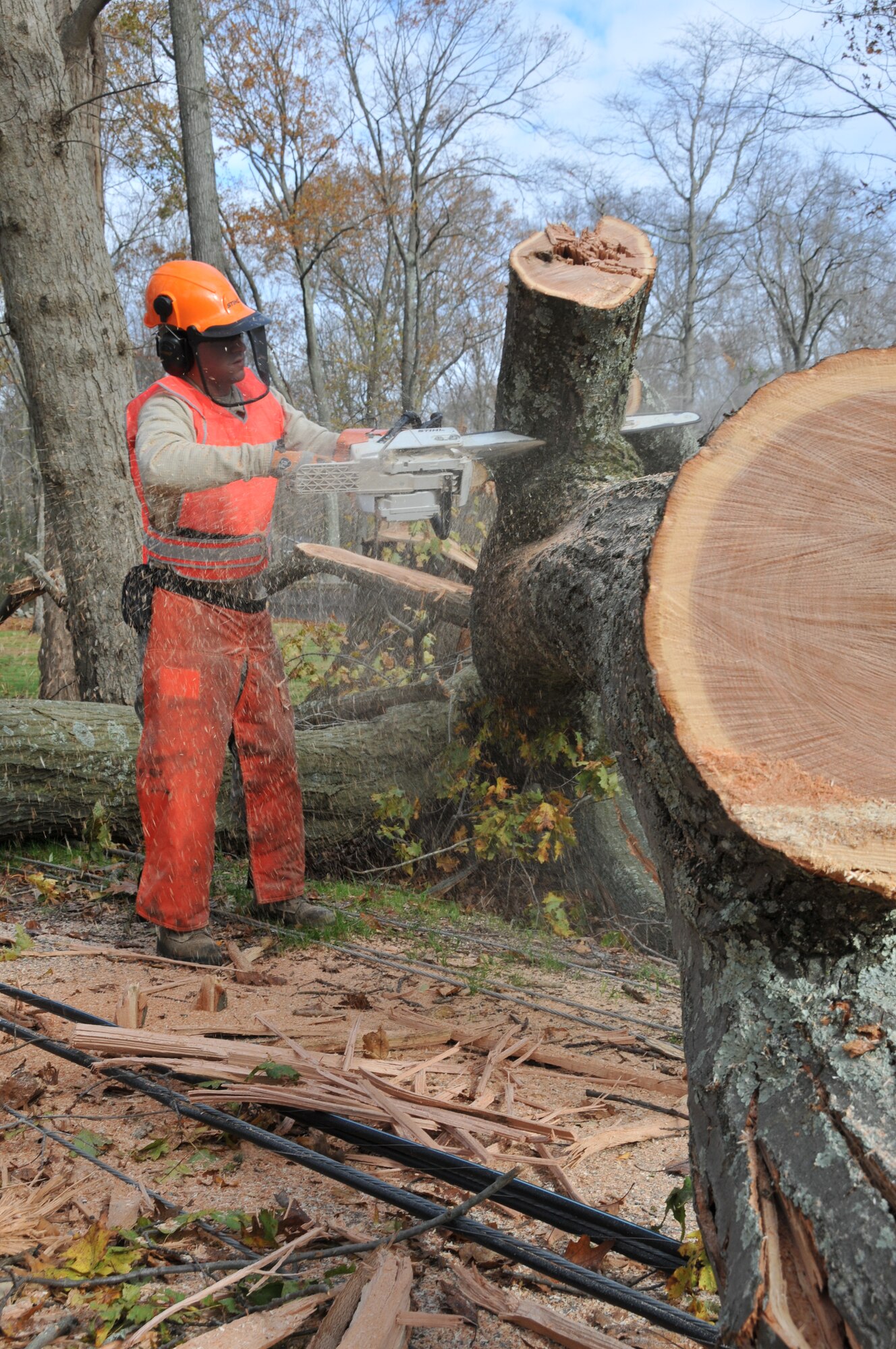 A member of the 103rd Civil Engineer Squadron chainsaw team cuts up a fallen tree to help clear the road and facilitate power restoration in a Southern Connecticut town Nov. 1, 2012.The Airman is part of the Connecticut National Guard’s emergency response in the wake of the massive destruction caused by Super Storm Sandy. (U.S. Air Force photo by Master Sgt. Erin McNamara)