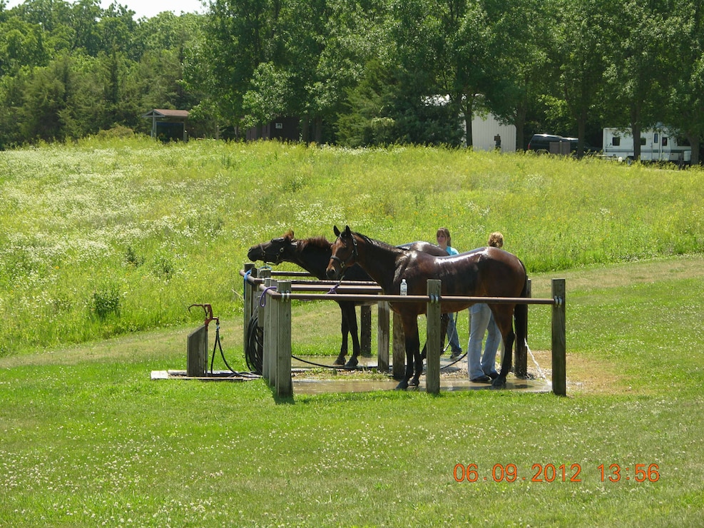 Horses at Elk Rock State Park