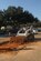 Senior Airman Gregory Heyl, 2nd Civil Engineer Squadron pavement and equipment journeyman, uses a Bobcat T190 to clear a pot hole on Barksdale Air Force Base, La., Oct. 31. The Airmen, known as 'Dirt Boys', use a variety of heavy equipment such as front-end loaders, bulldozers and backhoes to accomplish a number of tasks around the base. (U.S. Air Force photo/Senior Airman Kristin High)(RELEASED) 

