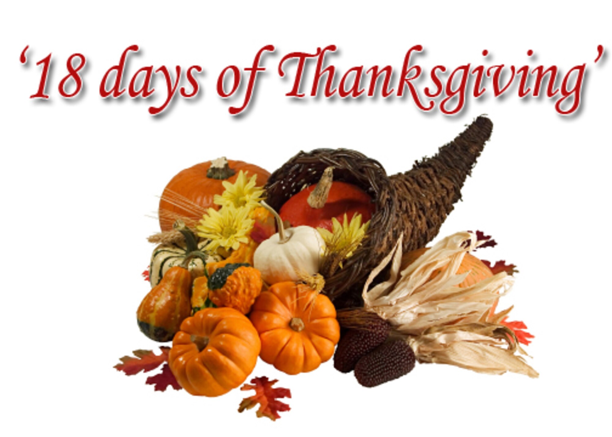 We are all familiar with the 15-week long Critical Days of Summer Safety Program.  I would like to encourage the members of the 315th Airlift Wing to consider a shorter, similar commitment during November which I will call “The 18 days of Thanksgiving.”  