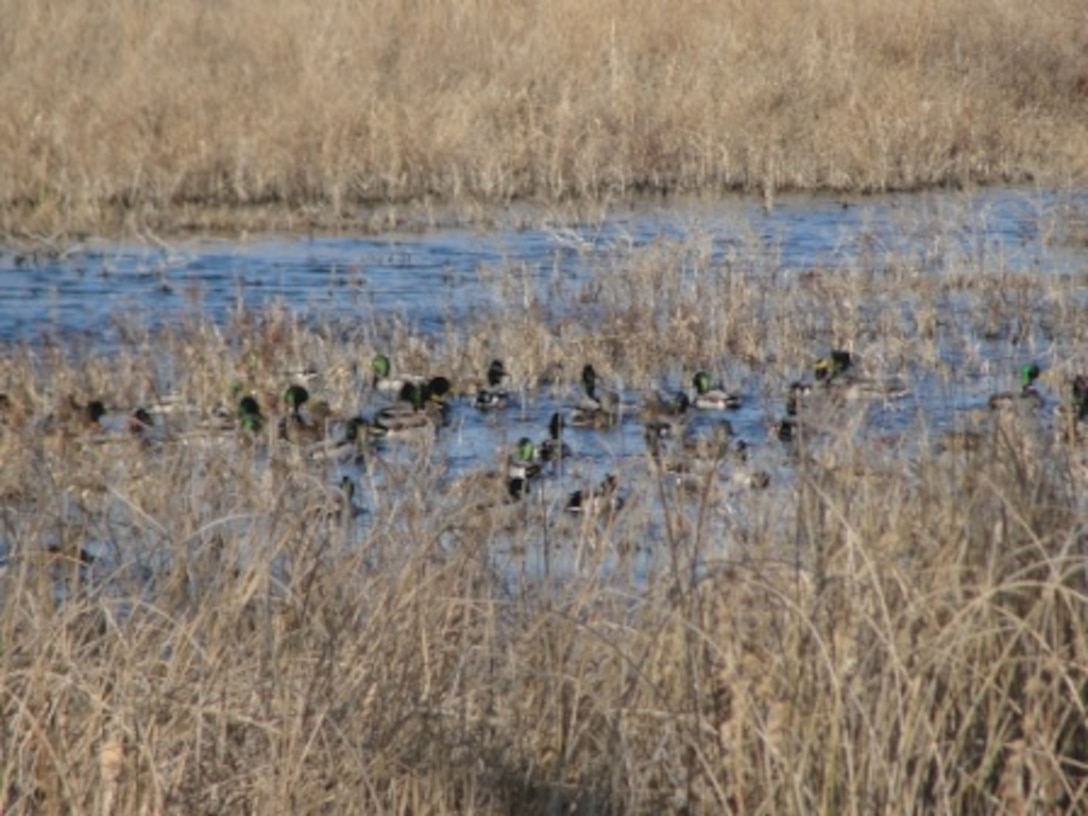 Kanopolis Lake 