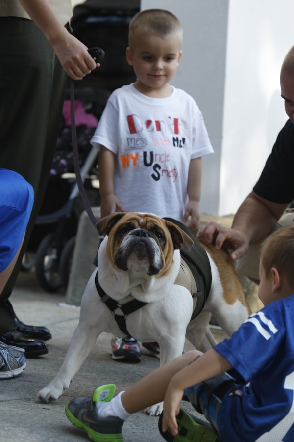 Lance Cpl. Legend, the Parris Island mascot, visits with guests during the Golf Company graduation ceremony on Parris Island on Sept. 21, 2012. 