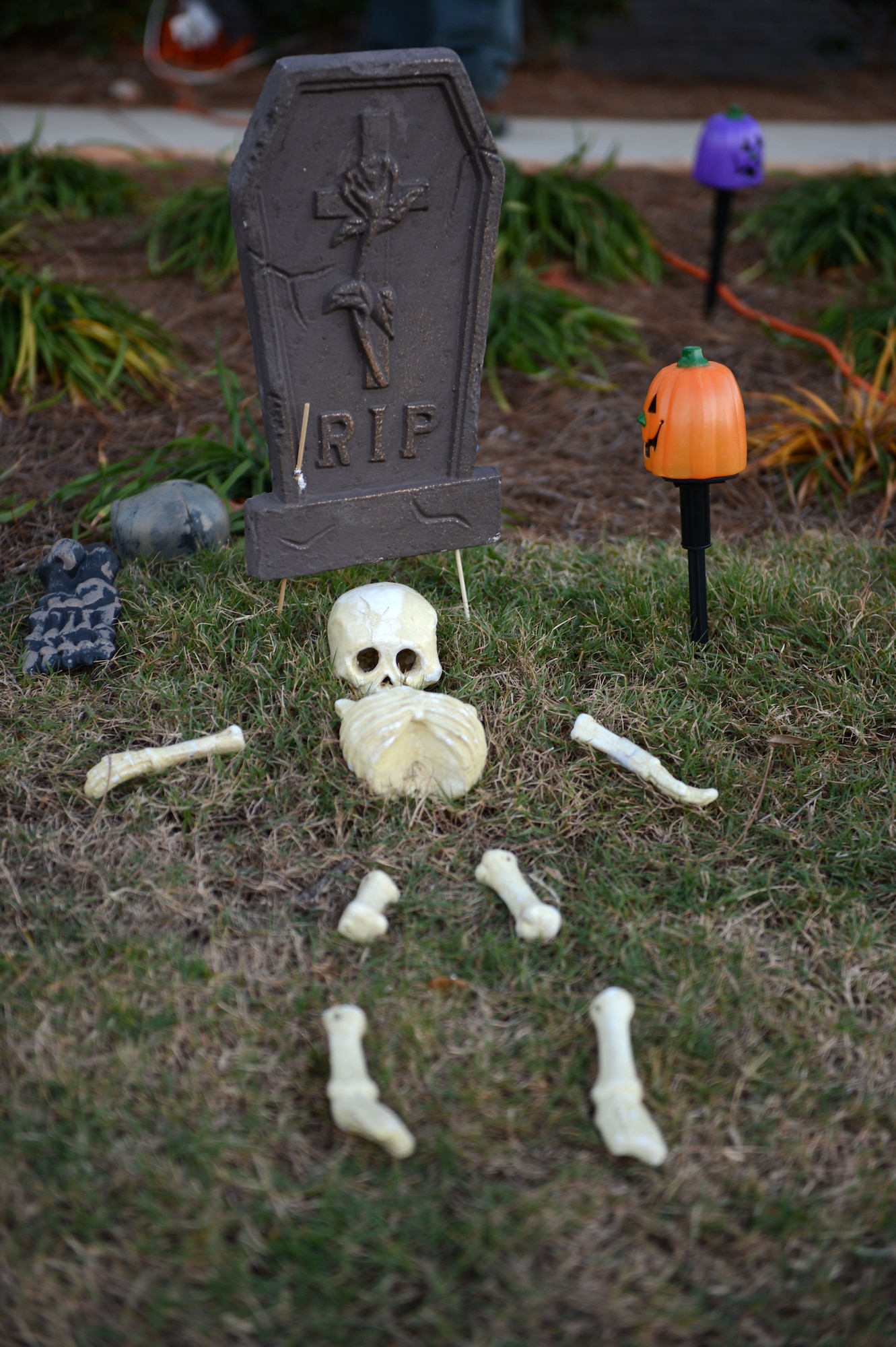 homemade used wife forced