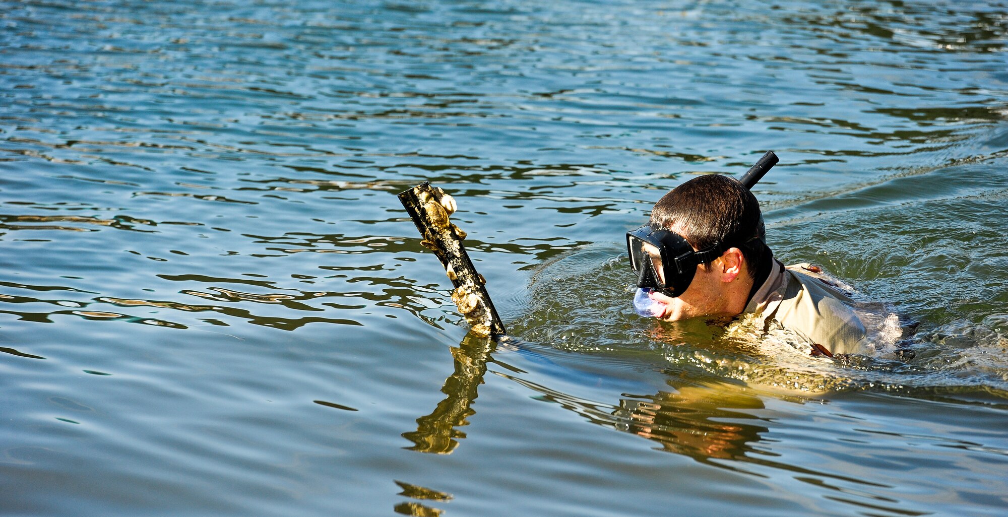 A U.S. Air Force special tactics Airman from the Special Tactics Training Squadron swims back to the side of the Soundside Marina with a metal rod during a clean-up of the Marina on Hurlburt Field, Nov. 4, 2012. The Airmen dove to the bottom of the marina and under the docks searching for trash and items that could be polluting the waters. (U.S. Air Force photo/Airman 1st Class Christopher Williams)
