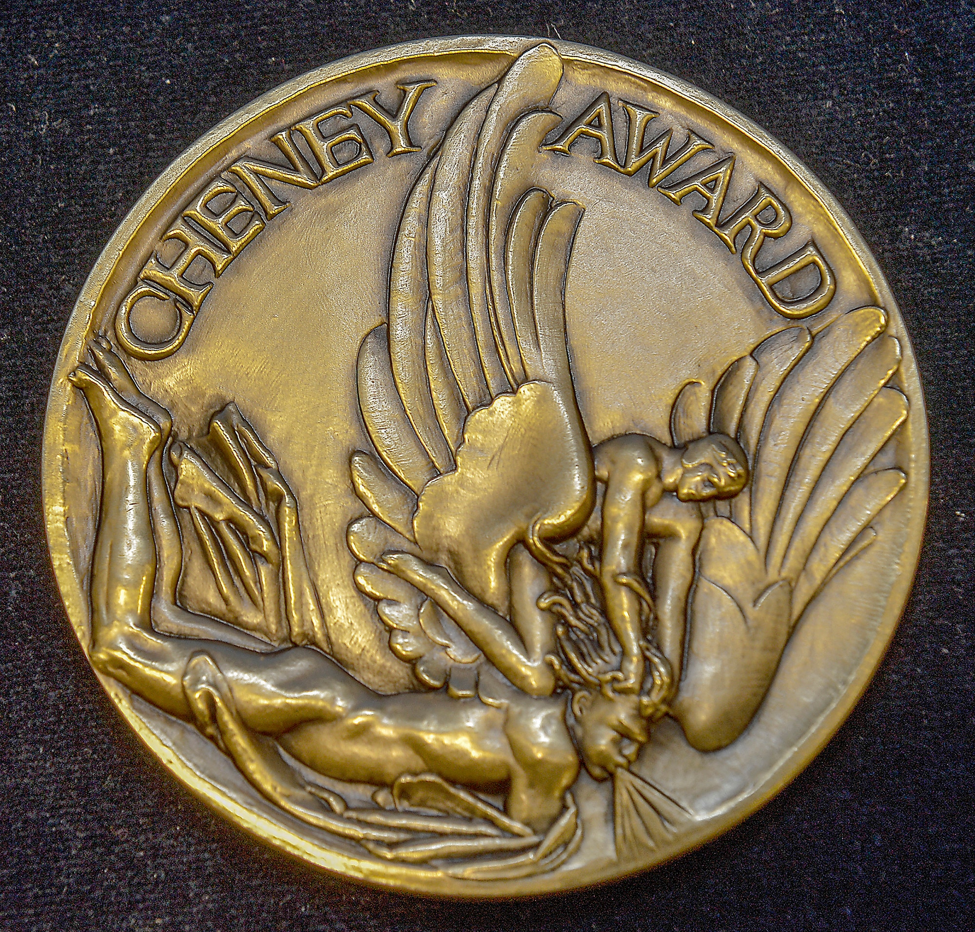 The Cheney Award, seen here, was awarded to Capt. Kenneth Green and Master Sgt. Joseph Brownell during a ceremony at the Pentagon on Nov. 1, 2012. (U.S. Air Force photo/Michael J. Pausic)