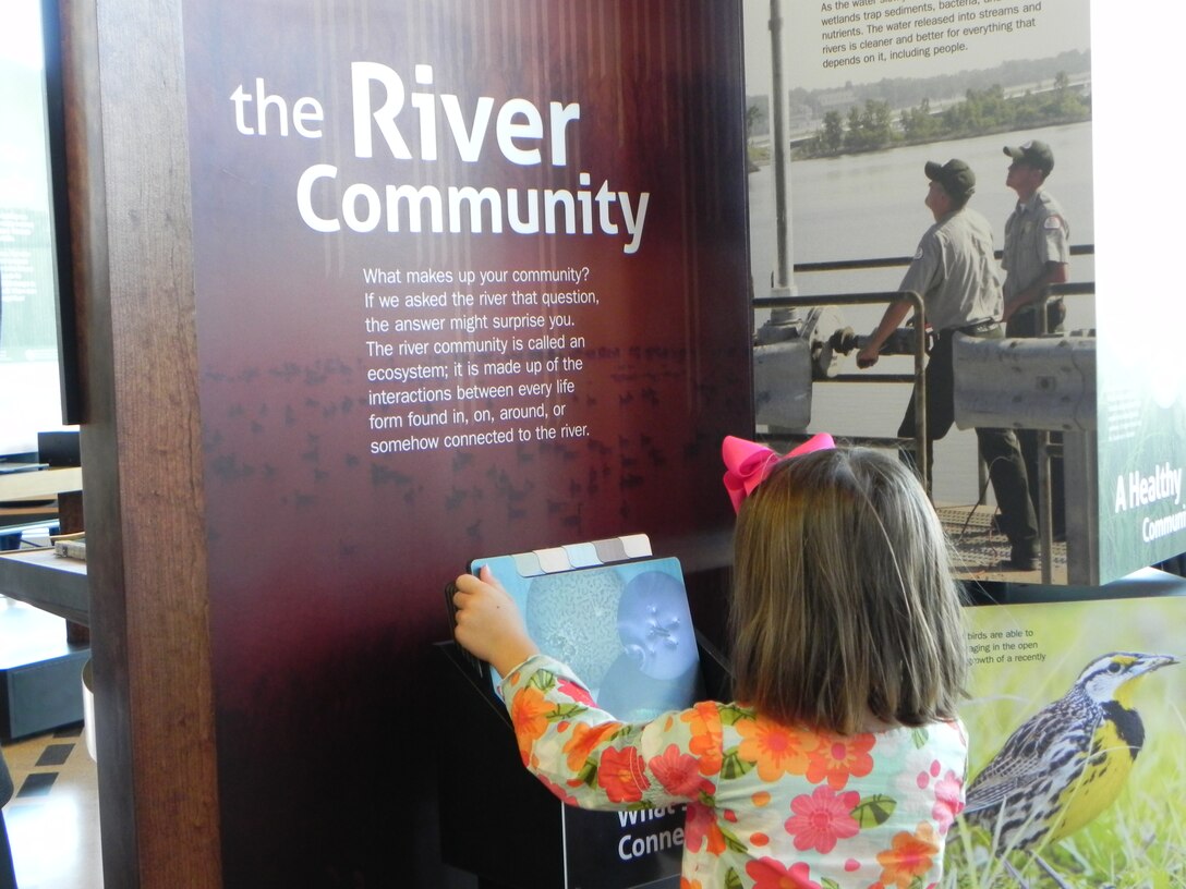 A young girl learns more about the river community at the Audubon Center at Riverlands. (U.S. Army Corps of Engineers, St. Louis District photo by Public Affairs Specialist Romanda Walker)