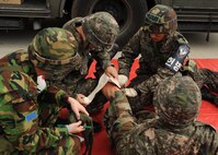 Republic of Korea air force medical personnel treat a simulated broken leg during Beverly Bulldog 13-1 on Kunsan Air Base, Republic of Korea, Nov. 7, 2012. The exercise presented US and ROK air force service members with various scenarios and assessed their ability to respond appropriately. (U.S. Air Force photo/Staff Sgt. Jonathan Fowler)