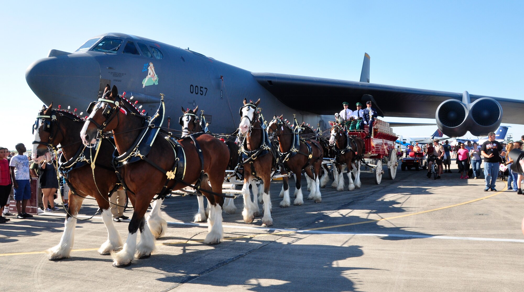 The Budweiser Clydesdales trot under the wing of a B-52 during the Wings Over Homestead air show at Homestead Air Reserve Base, Fla., Nov. 4. (U.S. Air Force photo/Tech. Sgt. Robert Gibson)
