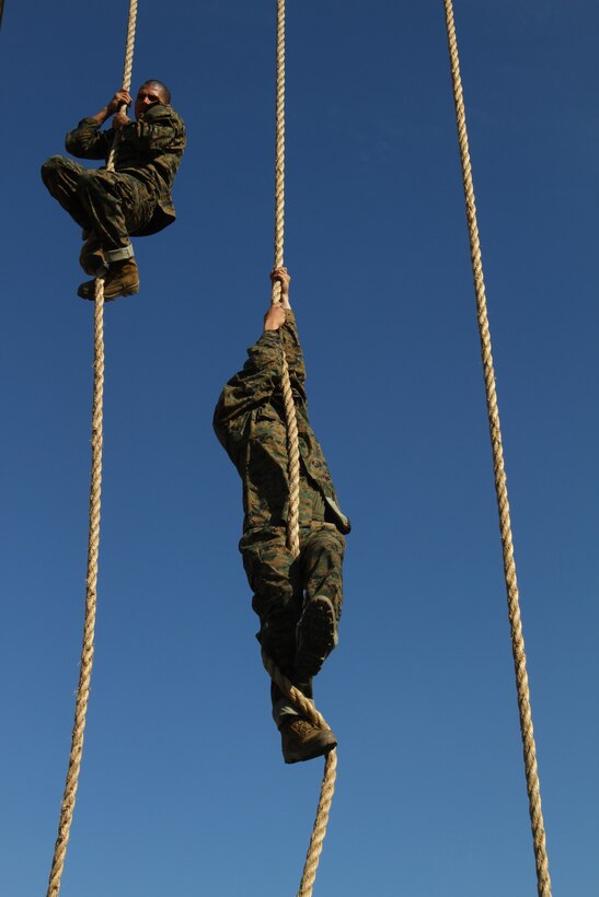 Recruits of Company H, 2nd Recruit Training Battalion, climb up the rope during the obstacle course aboard Marine Corps Recruit Depot San Diego Nov. 1. The 20-foot rope was the last portion of the obstacle course recruits had to endure after completing the course twice.