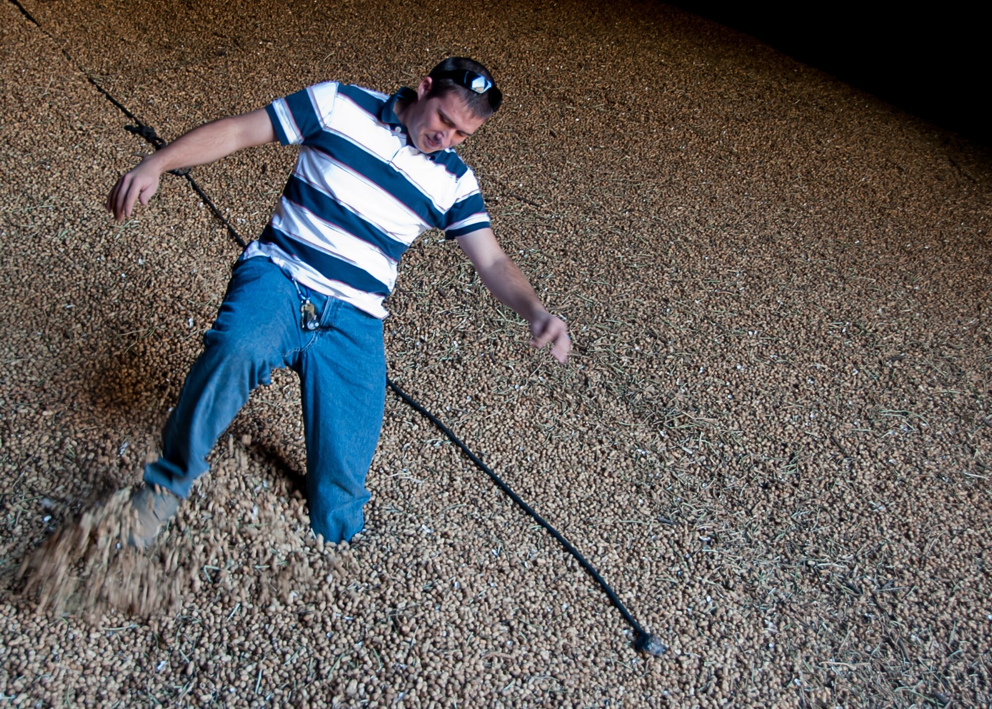 ALTUS, Okla., -- 2nd Lt. Jeremy Kulikowski, 97th Communication Squadron operations flight assistant director, walks through a pile of peanuts at the Altus Peanut Company during a Farm City Week tour, Nov. 7, 2012. There is around 50,000 pounds of peanuts being held at the peanut company. Farm City Week is held annually to highlight the importance of agriculture in the Altus and Jackson County economy and focuses on the partnership between the base and the local farming industry. (U.S. Air Force photo by Airman 1st Class Levin Boland / Released)