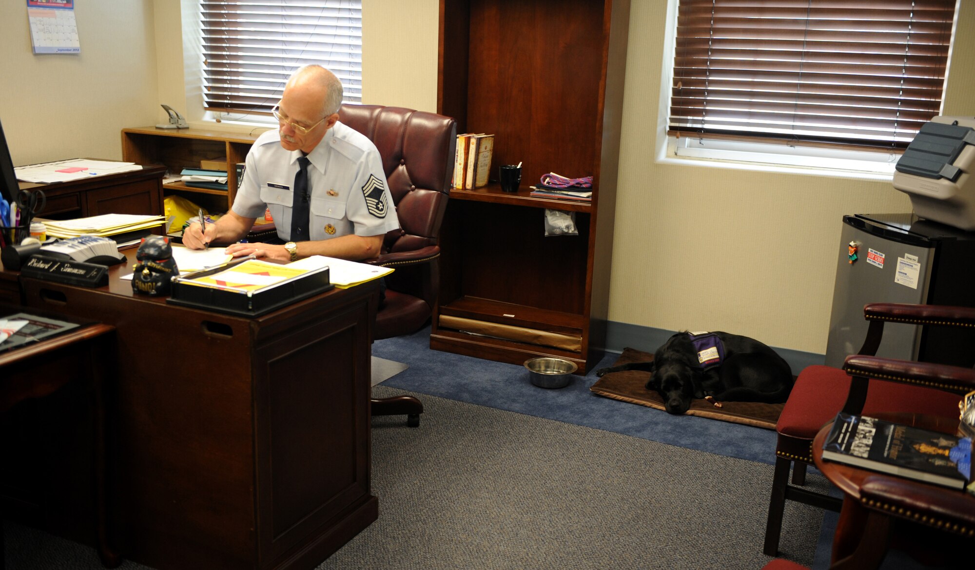 Chief Master Sgt. Richard Simonsen works as the senior enlisted advisor on Joint Base Anacostia- Bolling in Washington D.C. He lives with Post Tramatic Stress Disorder (PTSD) a condition he endured from a deployment to Afghanistan last year. Yoko, his service dog, helps him with his day to day activities. (U.S. Air Force photo/Senior Airman Christina Brownlow)