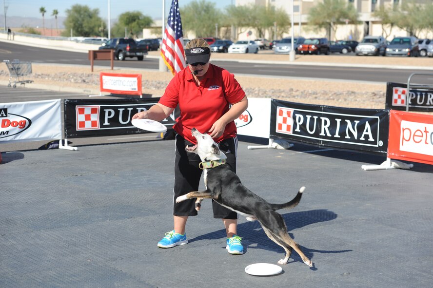 Laura Maretz, professional dog trainer, holds a frisbee for a dog to bite on during the Purina Incredible Dog Team demonstration Nov. 1 at the Luke Air Force Base commissary. The Purina Incredible Dog Team is a group of some of the world’s most athletic canines that performs acrobatic flying disc routines set to music. (U.S. Air Force photo by Airman 1st Class Devante Williams)