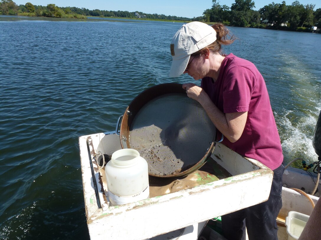 In September, our partners at the SCDNR Marine Resources Research Institute collected the first of four seasonal sets of data necessary to evaluate the macrobenthic communities, sediment composition, and bottom water quality characteristics in areas of the harbor with limited or no data.  They will collect the second set of data in late November