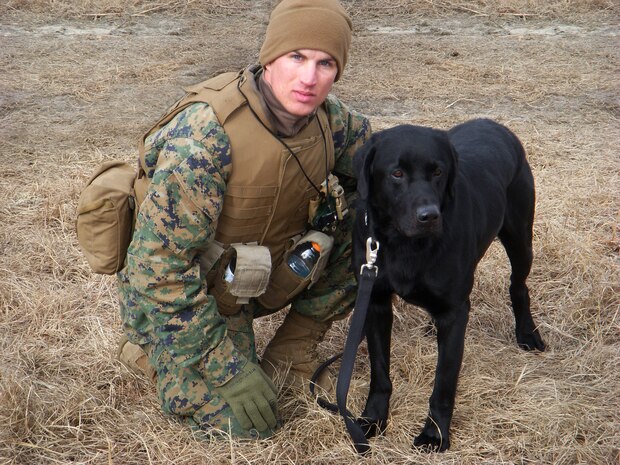 A Marine from 1st Battalion, 9th Marines, conducts training with his improvised explosive device detection dog.