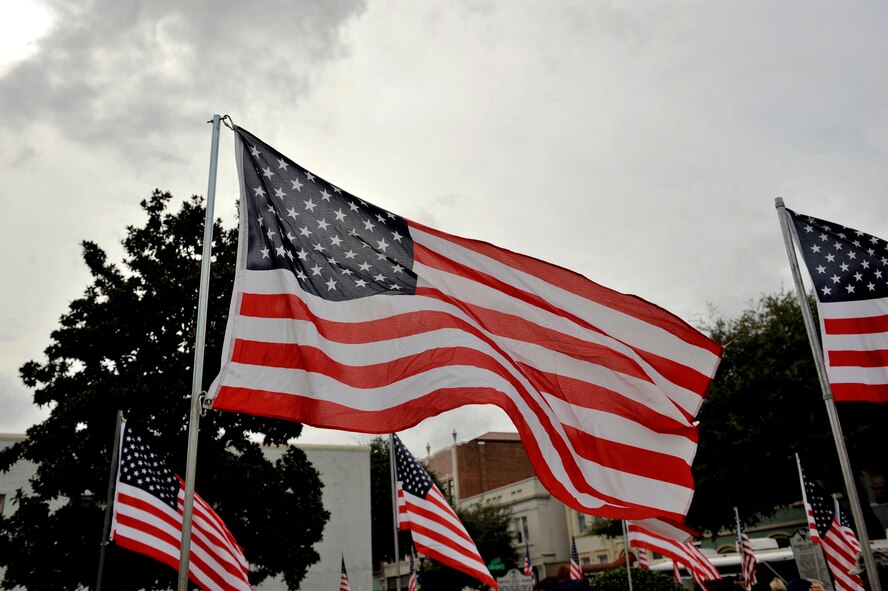Free-flowing American flags line the front lawn of the Sumter County Court House, setting the stage for the Sumter Veterans Day Celebration, Sumter, S.C., Nov. 12, 2012.  (U.S. Air Force photo by Staff Sgt. Ave I. Young/Released)
