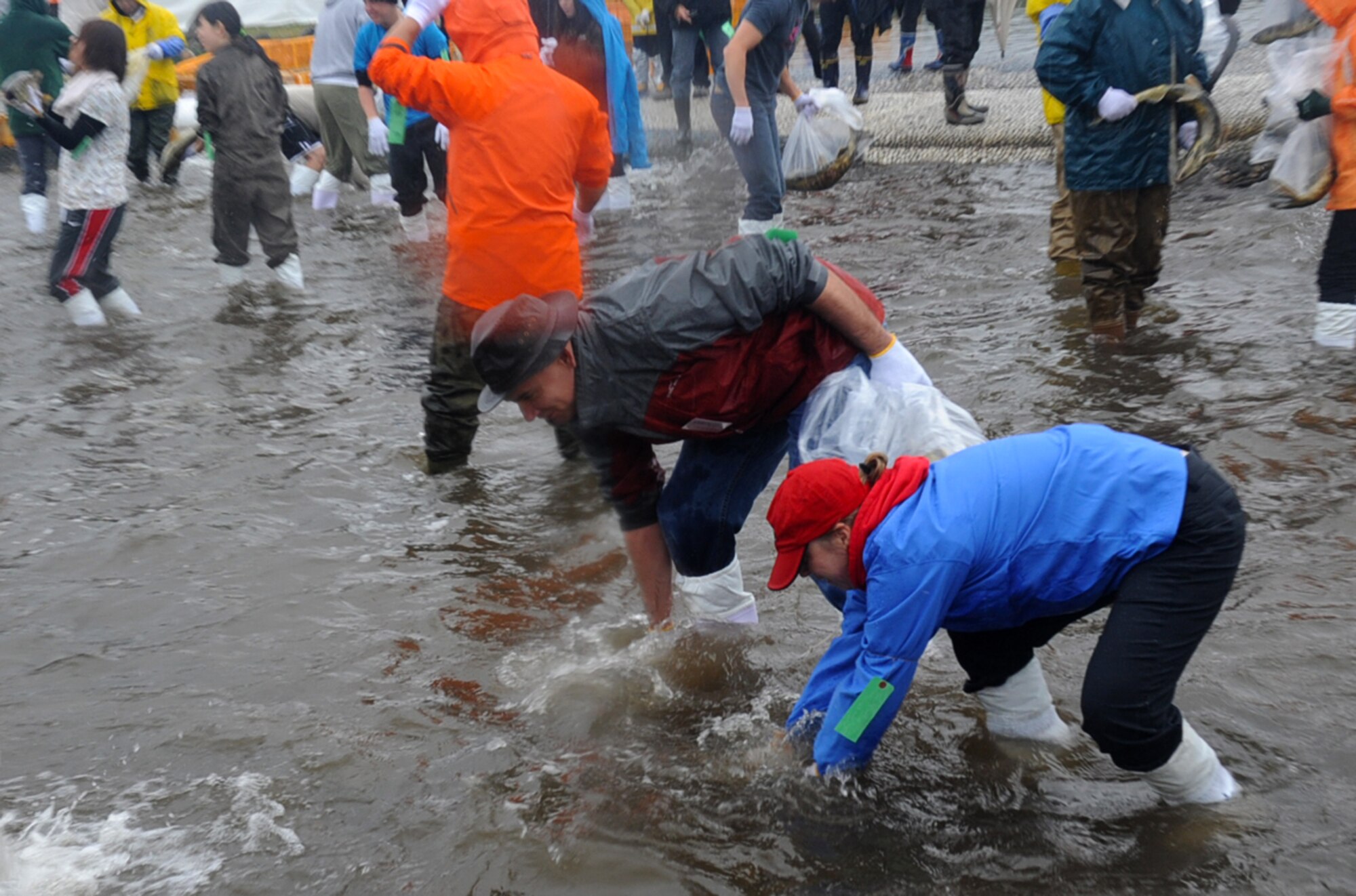 Chief Master Sgt. James Laurent, 35th Fighter Wing command chief, and Misty Griffith, wife of Col. Mike Griffin, 35th Mission Support Group, search the cold water for salmon at Salmon Park, Oirase, Japan during the annual Oirase Salmon Catching Festival, Nov. 10, 2012. Prizes were given to participants who caught the largest or smallest salmon, as well as any that had a yellow ribbon tied around its tail.   (U.S. Air Force photo/ Airman 1st Class Kenna Jackson) 