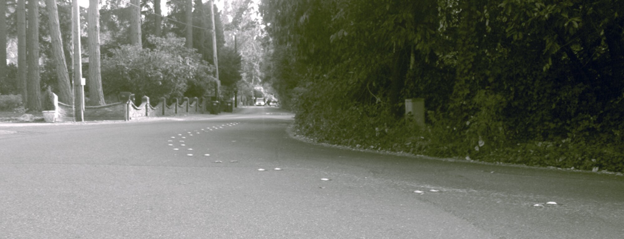 The combination of cold tires, morning dew, and the wrong angle made these pavement markers on the road outside Senior Airman Justin Blackner's home an accident waiting to happen. Blackner is a Reservist with the 446th Civil Engineer Squadron, Joint Base Lewis-McChord, Wash. (Courtesy photo by Senior Airman Justin Blackner)