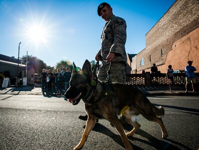 Staff Sgt. Jonathan Garrett, 628th Security Forces Squadron K-9 handler, walks with his military working dog, Chico, during a Veterans Day Parade Nov. 10, 2012, in Charleston, S.C. More than a hundred Airmen and Sailors from Joint Base Charleston marched in the parade, which traveled through the streets of historic downtown Charleston. (U.S. Air Force photo/ Senior Airman Dennis Sloan)
