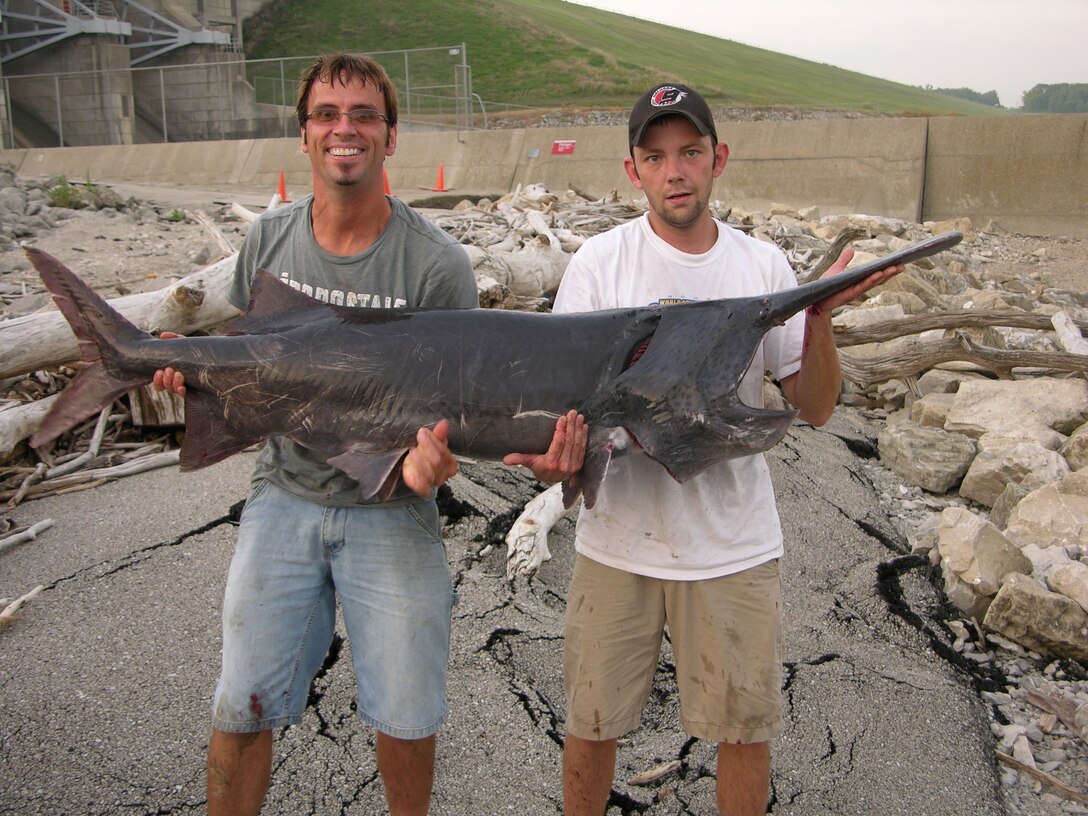 Fishermen with Paddlefish caught below Red Rock Dam