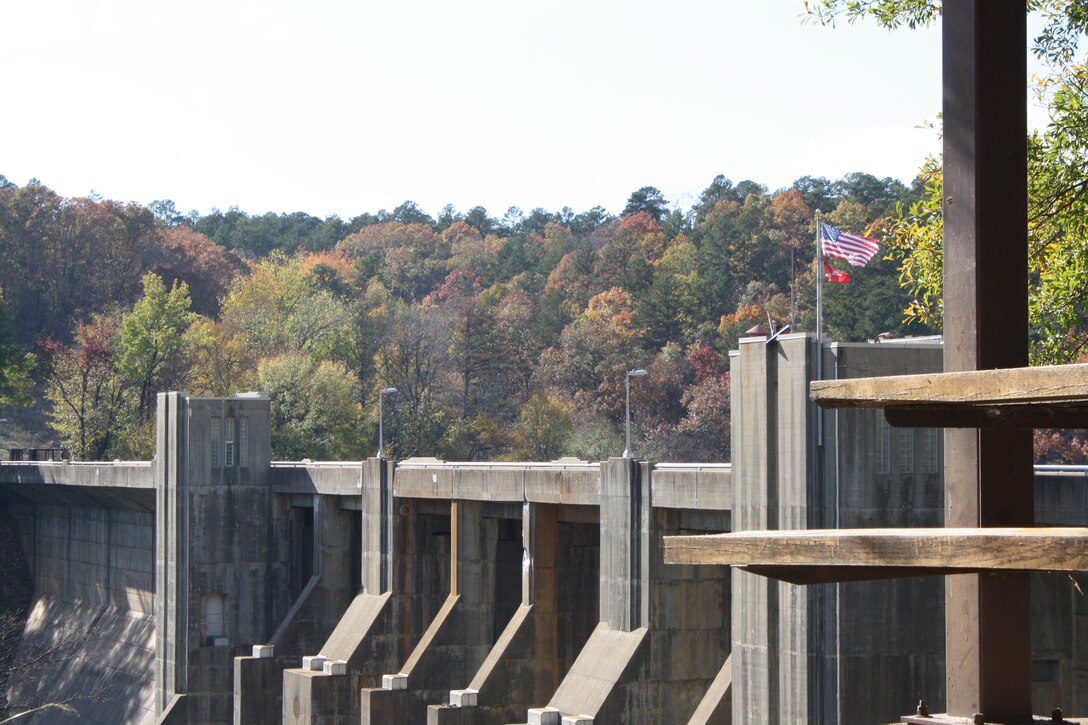 Enjoy the beautiful view of Nimrod Dam while picnicking.