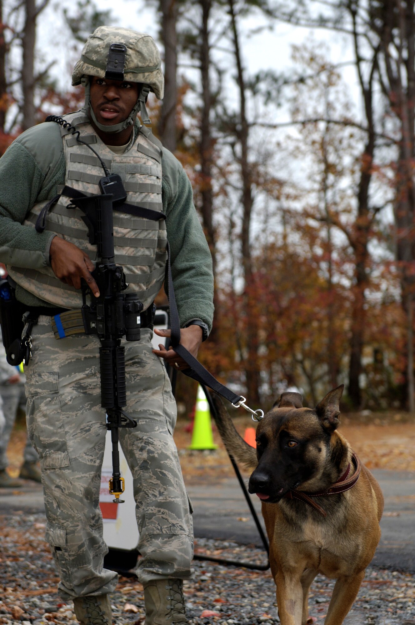 U.S. Air Force Senior Airman Jeffery Greene, 633rd Security Forces Squadron military working dog handler, keeps control of his partner, Rico, while on alert at Langley Air Force Base, Va., Nov. 15, 2012. Greene arrived on scene with Rico soon after the first responders responded to the active shooter exercise. (U.S. Air Force photo by Airman Kimberly Nagle/Released)
