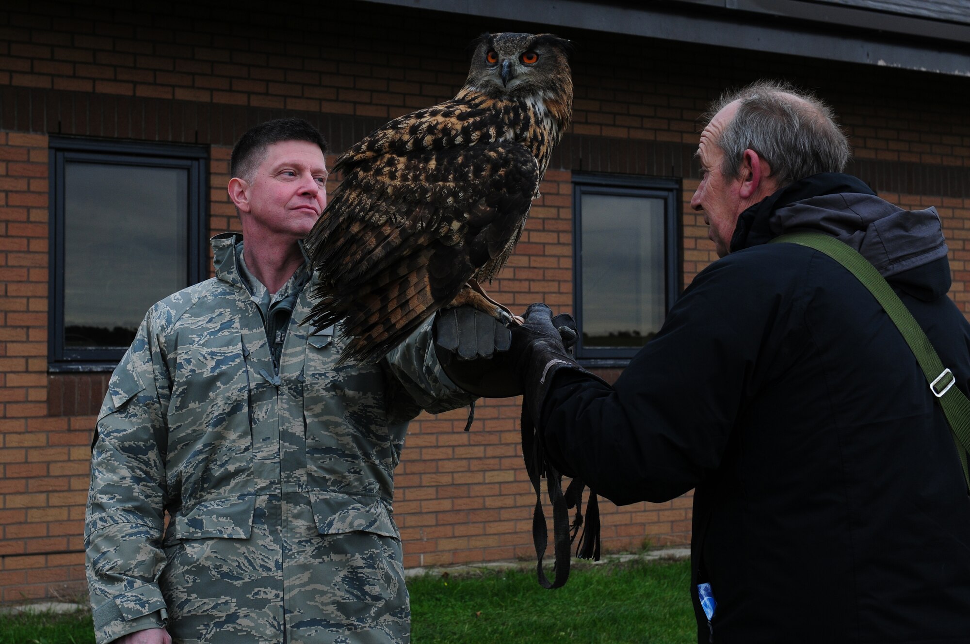 ROYAL AIR FORCE LAKENHEATH, England – Col. Kyle W. Robinson, 48th Fighter Wing commander, holds Twinkle, a 25-year-old eagle owl, with Keith Mutton, Phoenix Bird Control falconer, Nov. 9, 2012. Wing leadership visited the birds of prey and the Precision Measurement Equipment Laboratory to familiarize themselves with contractors hired by RAF Lakenheath. (U.S. Air Force photo by Airman 1st Cory D. Payne)