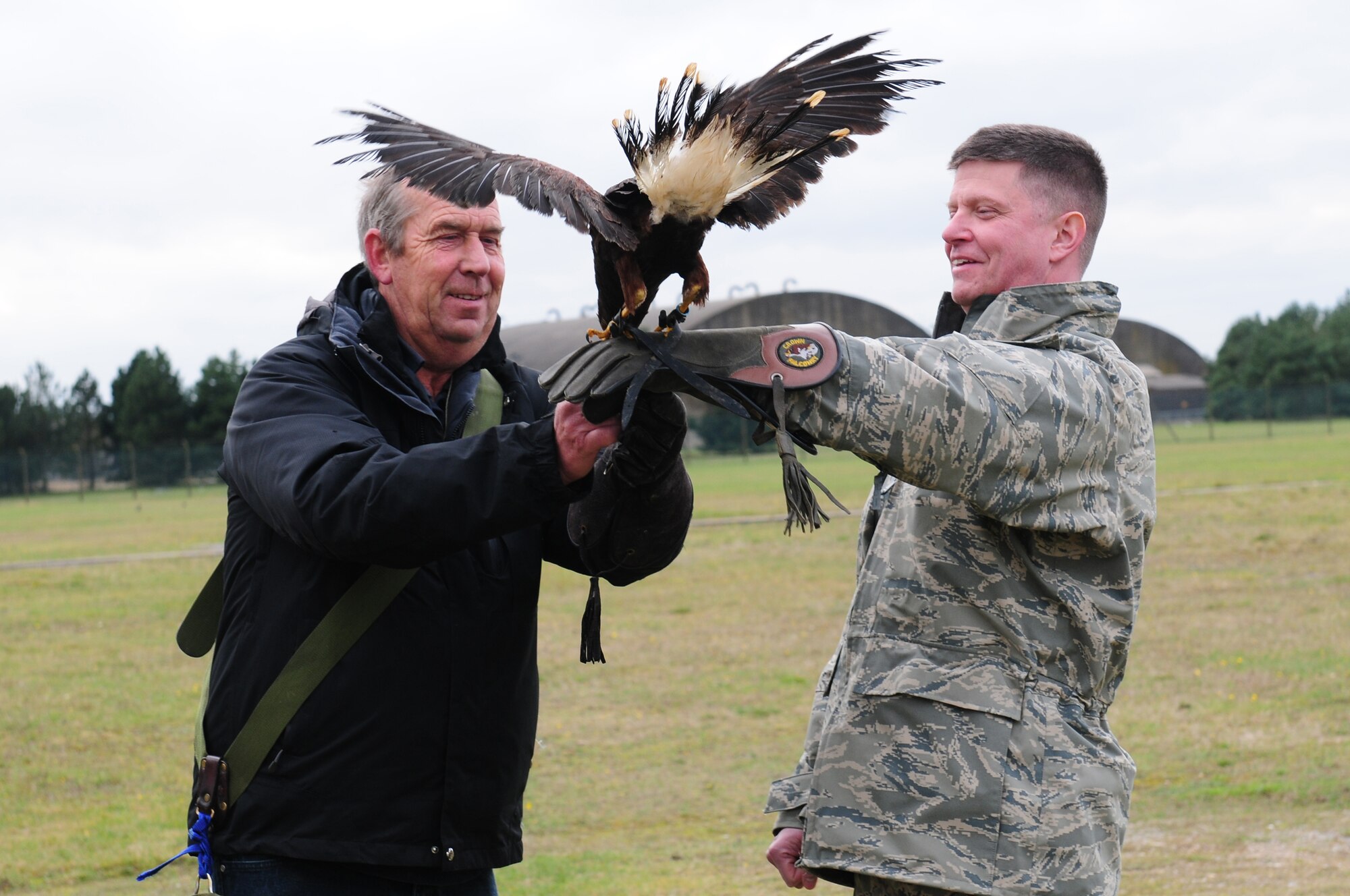 ROYAL AIR FORCE LAKENHEATH, England – Keith Mutton, Phoenix Bird Control falconer, and Col. Kyle W. Robinson, 48th Fighter Wing commander, hold Mustang, 3-year-old lanner falcon, Nov.9, 2012. Wing leadership visited the birds of prey and the Precision Measurement Equipment Laboratory to familiarize themselves with contractors hired by RAF Lakenheath. (U.S. Air Force photo by Airman 1st Cory D. Payne)