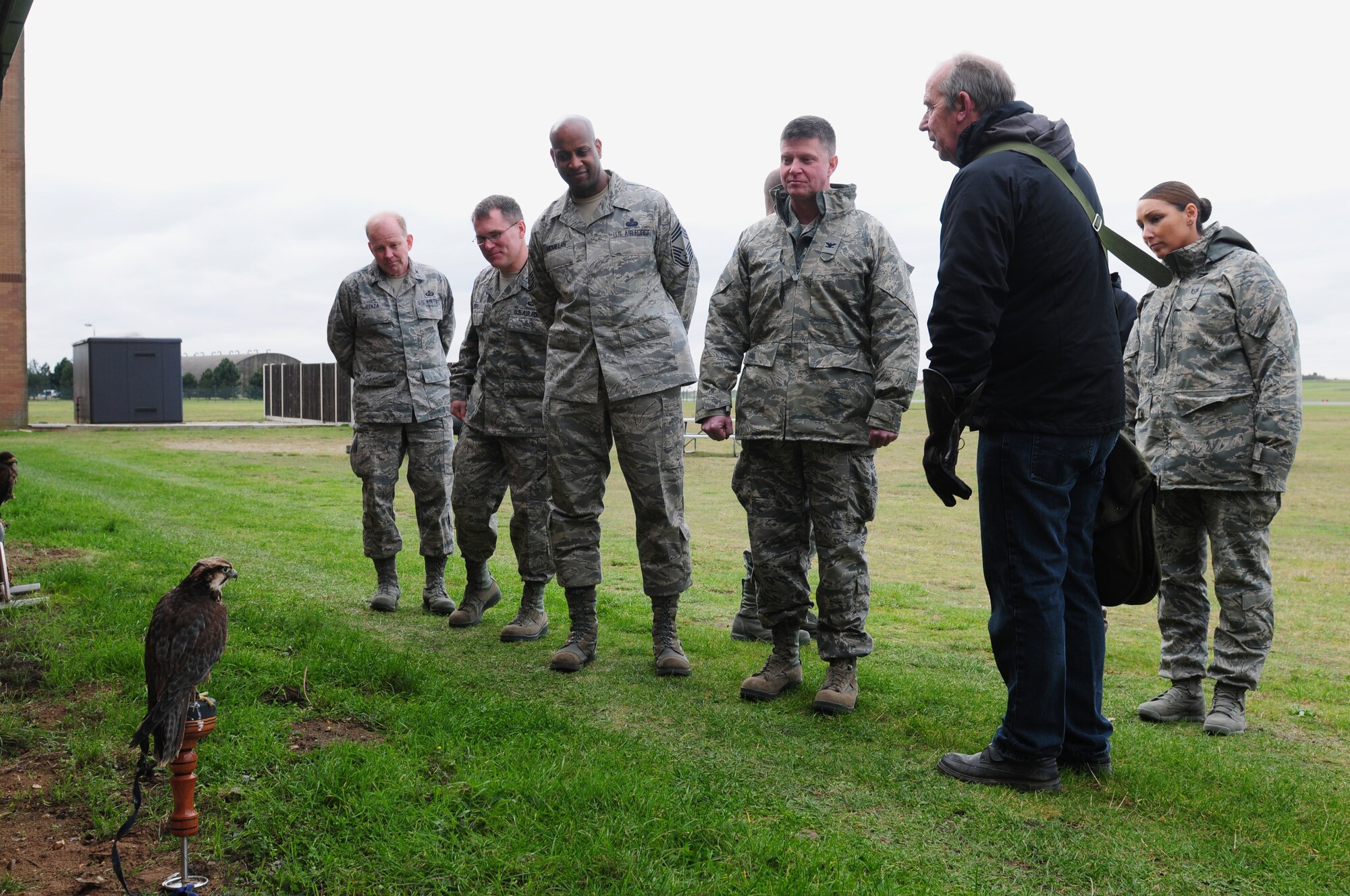 ROYAL AIR FORCE LAKENHEATH, England – Leadership from the 48th Fighter Wing and members of the 48th Contracting Squadron receive a briefing on birds of prey from Keith Mutton, Phoenix Bird Control falconer (right), Nov. 9, 2012. Wing leadership visited the birds of prey and the Precision Measurement Equipment Laboratory to familiarize themselves with contractors hired by RAF Lakenheath. (U.S. Air Force photo by Airman 1st Cory D. Payne)