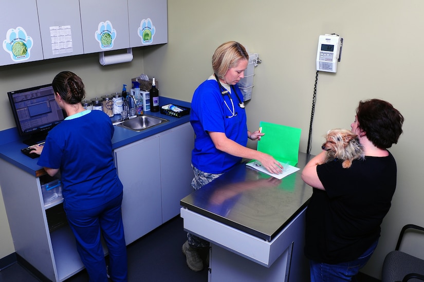 Army Capt. Cynthia Fallness, Joint Base Charleston – Air Base Veterinary Treatment Facility officer in charge, speaks with Stetch's owner, Nov. 13, 2012 at JB Charleston - Air Base, S.C. Stetch is a seven year old Yorkie Chihuahua Cross. The Charleston Veterinarian clinic serves between 20 and 30 patients per day. (U.S. Air Force photo/ Airman 1st Class Chacarra Walker)