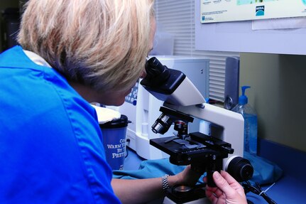 Army Capt. Cynthia Fallness, Joint Base Charleston – Air Base Veterinary Treatment Facility officer in charge, looks at fluid from a cyst through a microscope, Nov. 13, 2012, at JB Charleston- Air Base, S.C. The Charleston Veterinarian clinic serves between 20 and 30 patients per day. (U.S. Air Force photo/ Airman 1st Class Chacarra Walker)