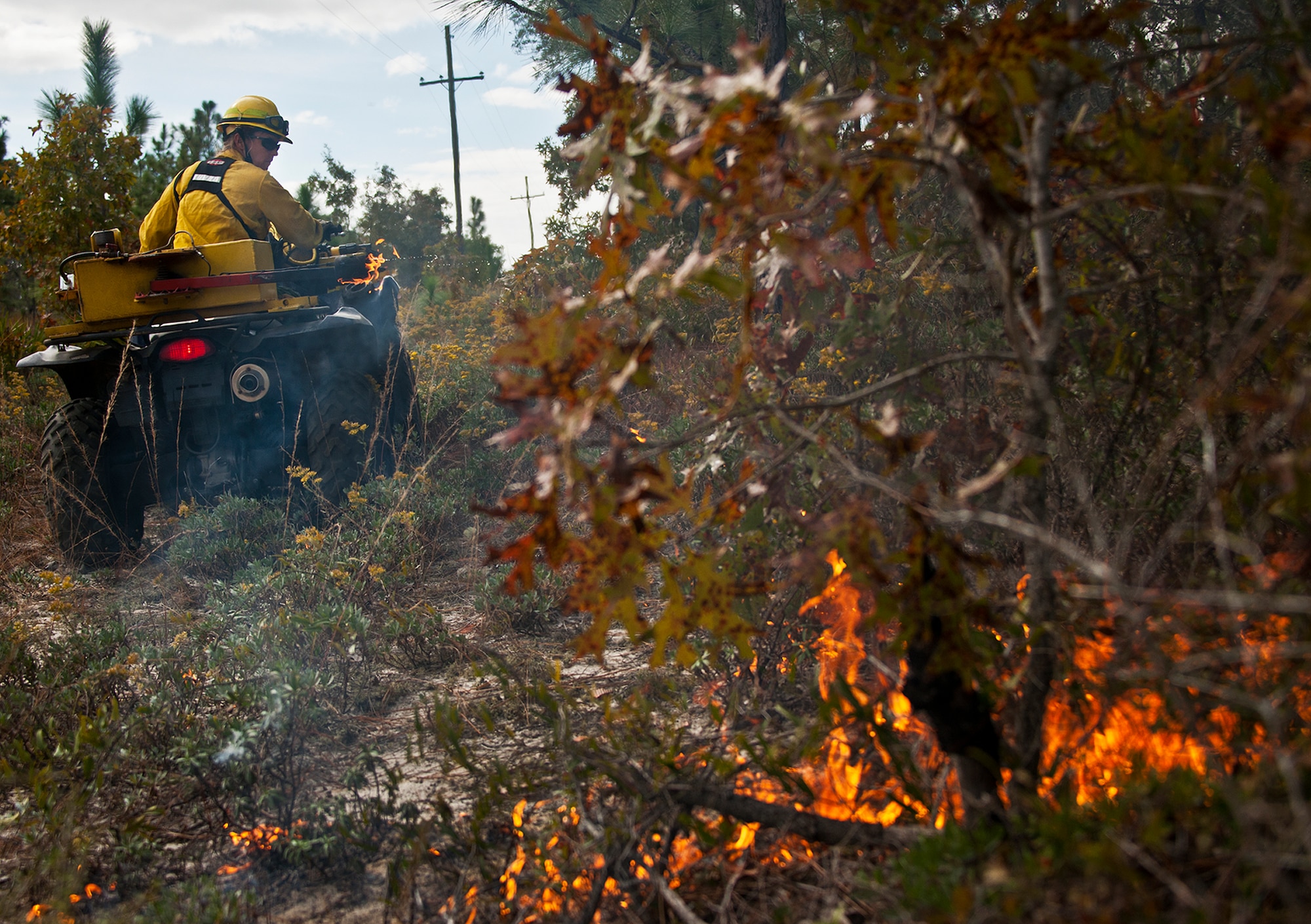 A member of Jackson Guard ignites a prescribed fire conducted at Eglin Air Force Base Nov. 11-12. More than tat 90 scientists from the Combustion-Atmospheric-Dynamics-Research-Experiments team, sent from institutions all over the world, set up instruments to record meteorology, smoke particulates and other fire phenomena. (U.S. Air Force photo/Randy Gon)