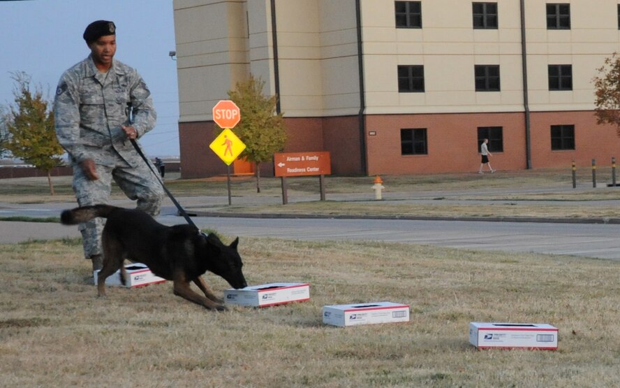 Staff Sgt. Daniel Flores demonstrates Ducks, his military working dog, odor detection abilities for a group of children at the Airman & Family Readiness Center on Nov. 19. Duck along with other military working dogs are trained to have a "passive response" and will sit when the detection is made.  (U.S. Air Force Photo/Kimberly Parker) 
