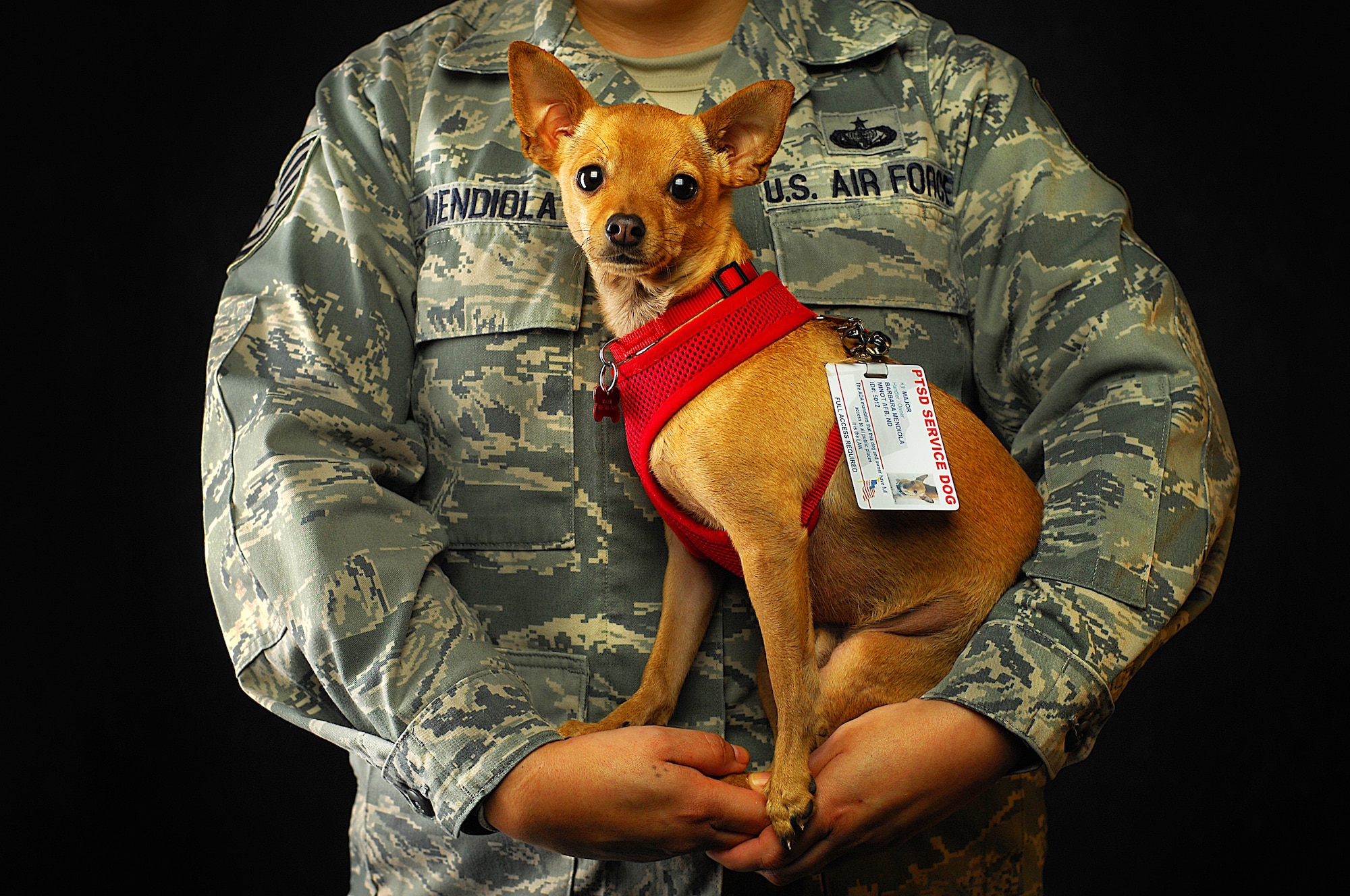 Ada ptsd service dog hotsell