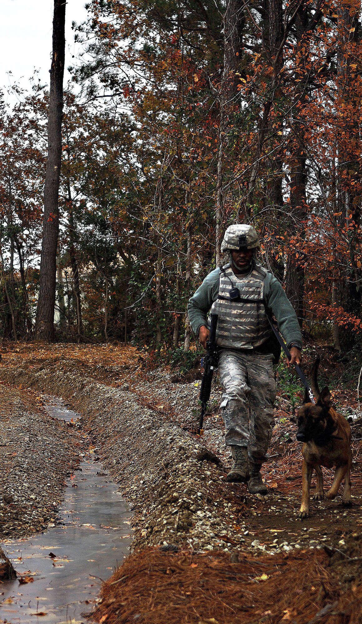 Senior Airman Jeffrey Green, 633rd Security Forces canine handler, and Military Working Dog Rico, 633rd Security Forces bomb dog, sweep for explosives during an active shooter exercise at Langley Air Force Base, Va., Nov. 15, 2012.  Rico was brought on scene to sweep for any explosives that the shooter might have placed.  (U.S. Air Force photo by Staff Sgt. Katie G. Ward / Released)