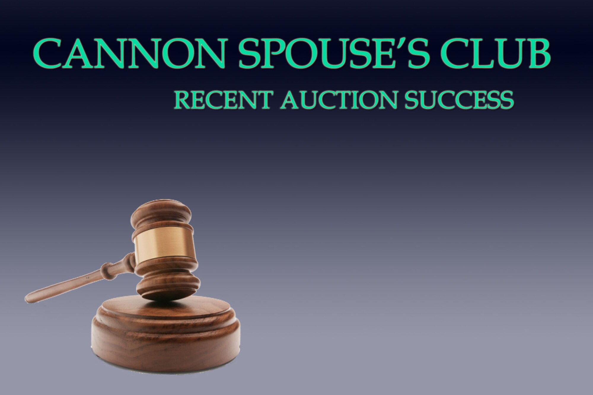 The Cannon Spouse’s Club hosted a charity auction at the Landing Zone at Cannon Air Force Base, N.M., Nov. 16, 2012. The club raised funds for local charities and scholarships for members of Cannon and the local communities. (U.S. Air Force graphic/Senior Airman Alexxis Pons Abascal) 