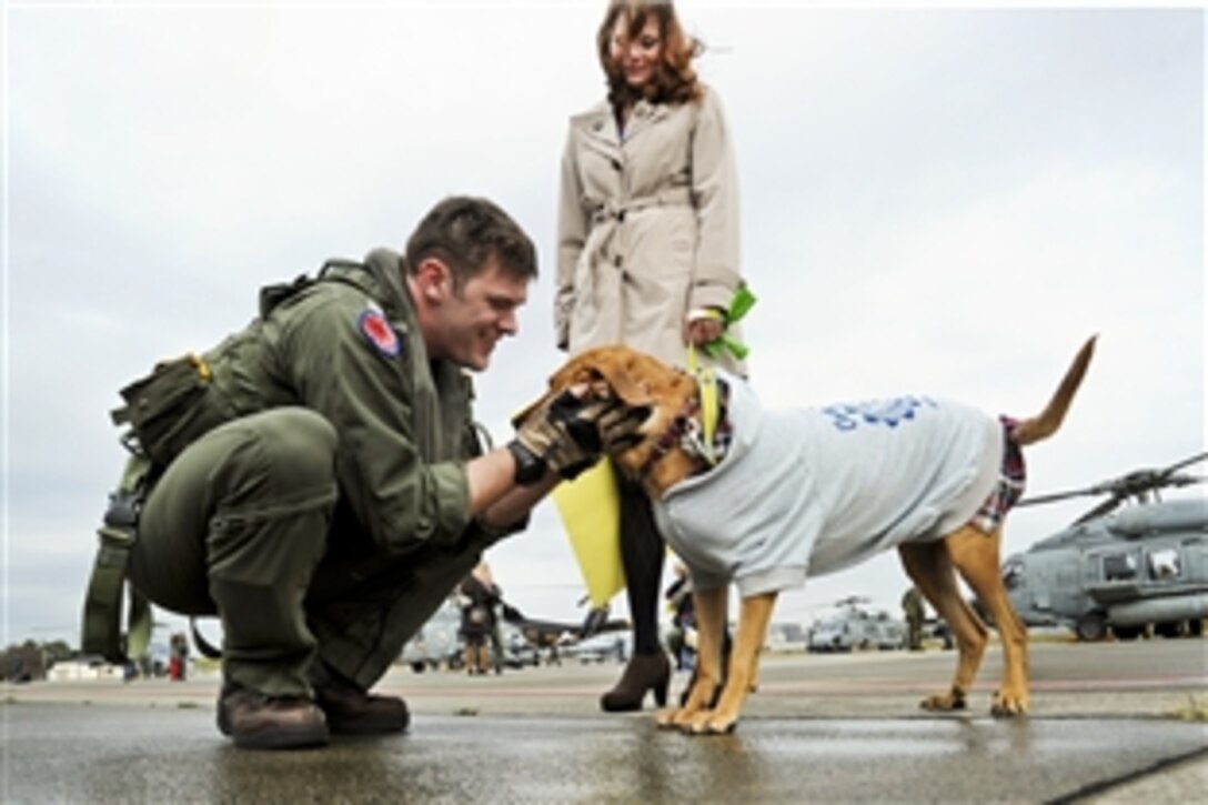 U.S. Navy Lt. John Geary pets his dog during a homecoming celebration on Naval Air Station Atsugi, Japan, Nov. 19, 2012. Geary is assigned to Helicopter Anti-Submarine Squadron 14, which completed a deployment aboard the aircraft carrier USS George Washington.
