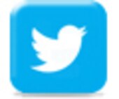 twitter button
