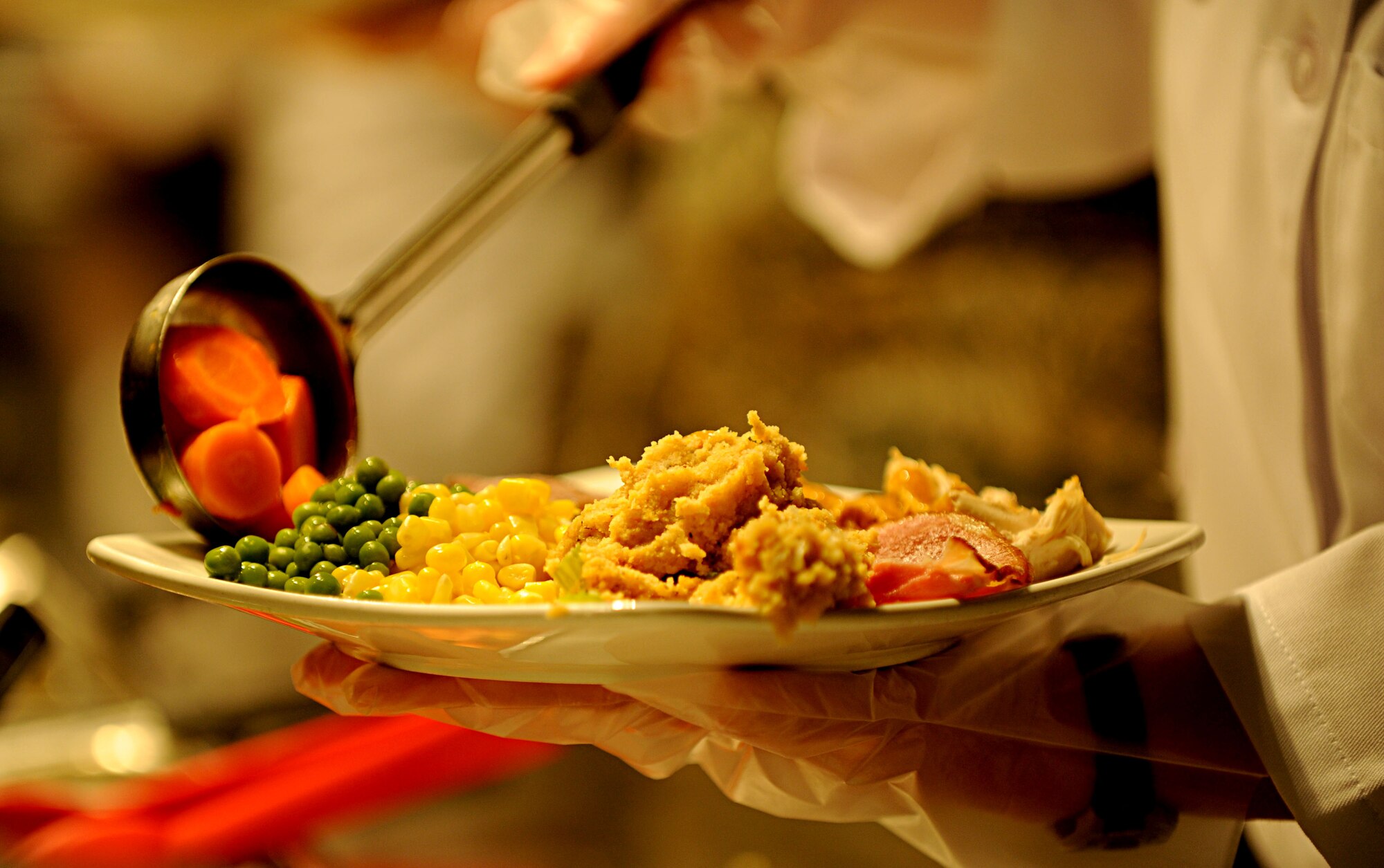 U.S. Army Col. Jayne Jansen, 633rd Air Base Wing vice commander  places cooked carrots on a plate of food at the Langley Air Force Base, Va. dining facility, Nov. 22, 2012. Jansen joined base leadership at the facility to serve Airmen Thanksgiving dinner. (U.S. Air Force photo by Senior Airman Jarad A. Denton/Released)
