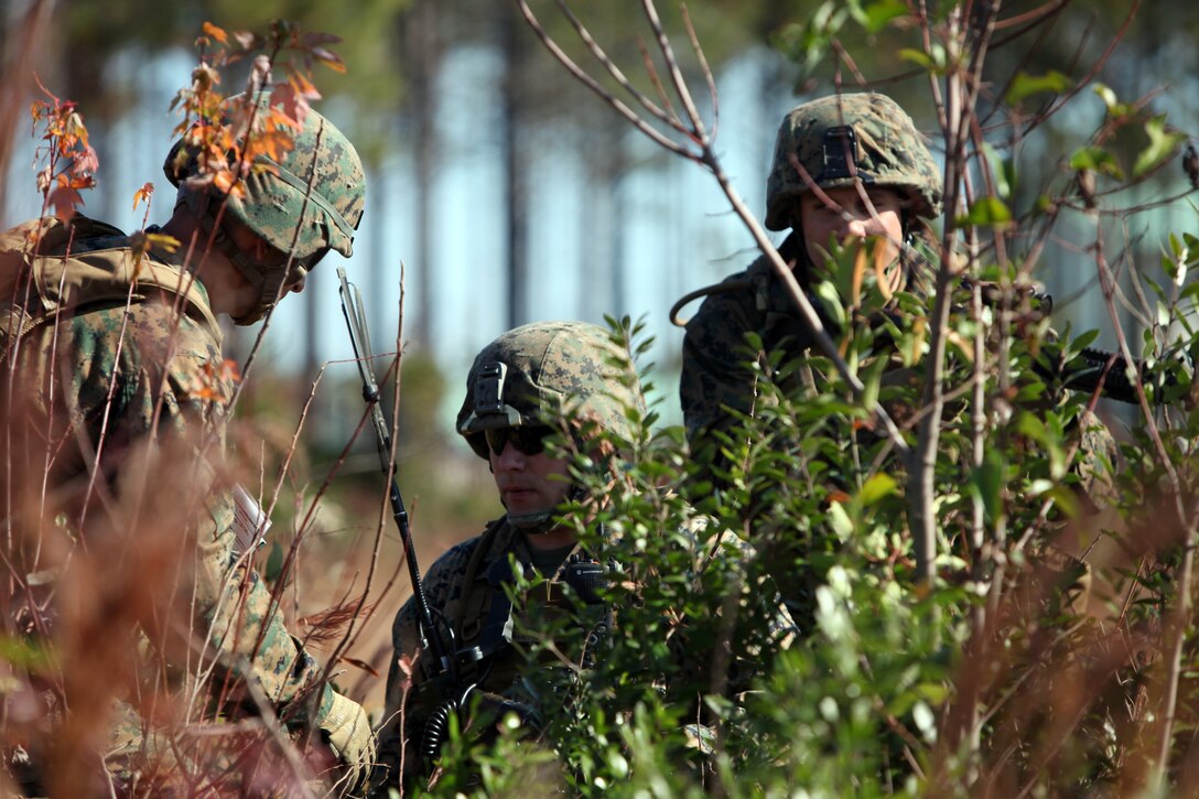 Marines with Special-Purpose Marine Air-Ground Task Force Africa 13.2 radio an inbound MV-22 Osprey during a field training exercise aboard Marine Corps Base Camp Lejeune, N.C., Nov. 16, 2012. The Marines are learning advanced combat medical techniques, advanced driving techniques, methods for training foreign militaries on marksmanship and how to set up and conduct firing ranges to prepare for their upcoming deployment. (Marine Corps photo by Lance Cpl. Caleb McDonald/Released)