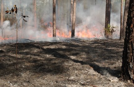 Prescribed fire season begins on Joint Base Charleston in December and extends through May, 2013. A prescribed or controlled fire is a low intensity, carefully managed fire set under exacting conditions for specific purposes by experienced, trained personnel. (Courtesy photo)