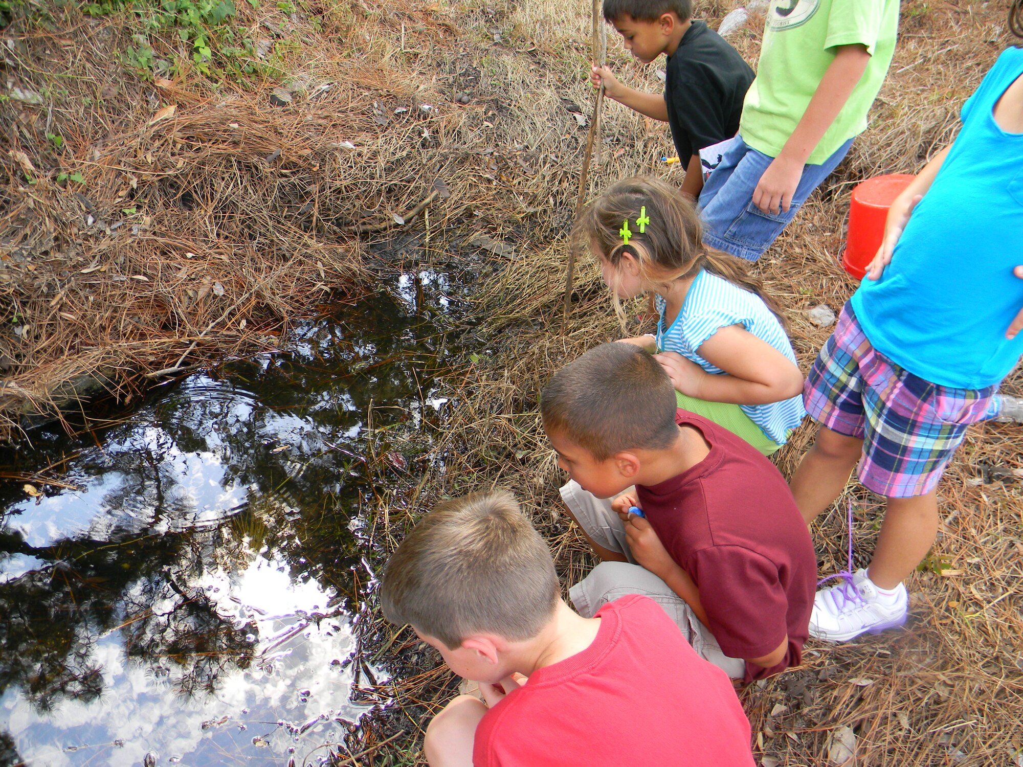 Children of the Child Development Center observe aquatic wildlife during the Hurlburt Field Youth Center Wetland Stream Project at Hurlburt Field, Fla.  The outdoor activities allowed children to learn about the local ecosystem and wildlife.  (Courtesy photo by Catherine Goss)