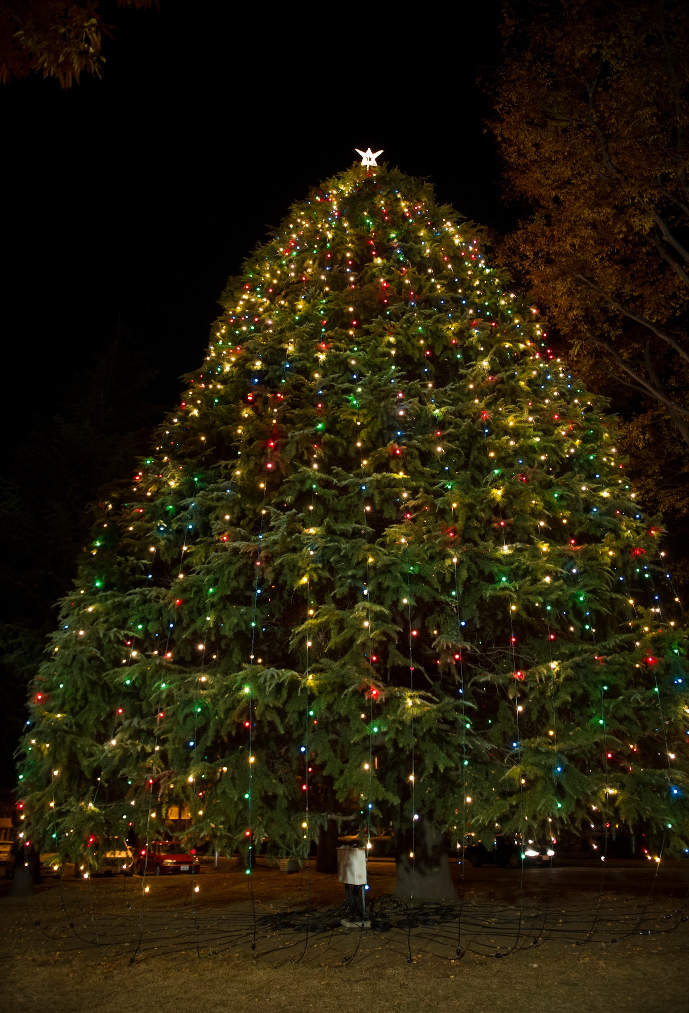 YOKOTA AIR BASE, Japan -- Yokota's holiday tree shines outside the base chapel during the annual tree lighting ceremony Nov. 28, 2012, at Yokota Air Base, Japan. (U.S. Air Force photo by Senior Airman Andrea Salazar)