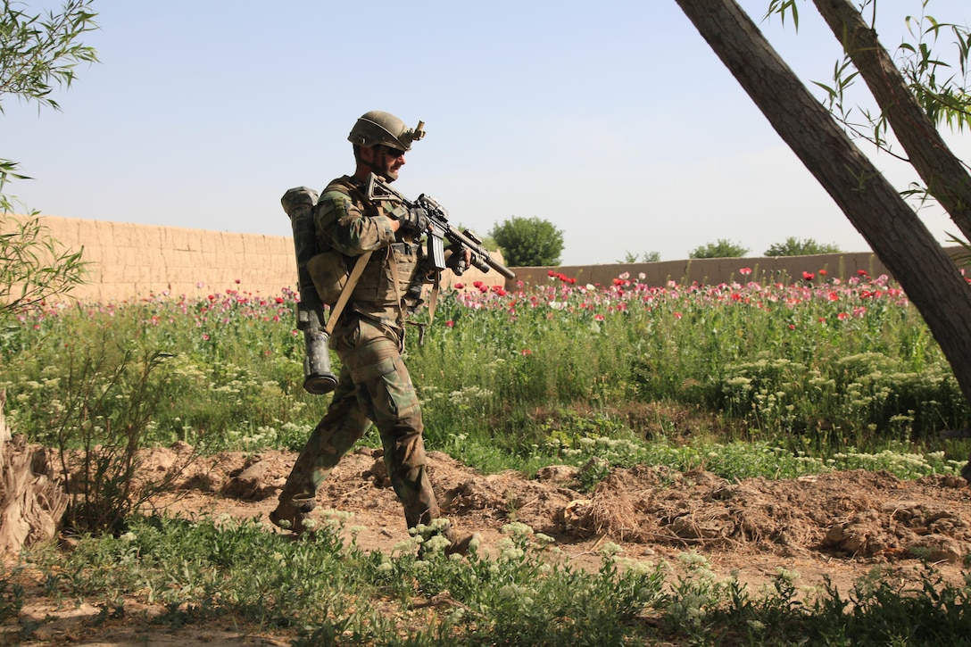 A Marine with U.S. Marine Corps Forces, Special Operations Command patrols through poppy fields in Nahr-e Saraj district, Helmand Province April 3. Marines with MARSOC's 1st Marine Special Operations Battalion recently returned from a nine-month deployment to Afghanistan, where they commanded the Special Operations Task Force - West and oversaw one of Afghanistan's bloodiest regions. (U.S. Marine Corps photo by Cpl. Kyle McNally/Released)