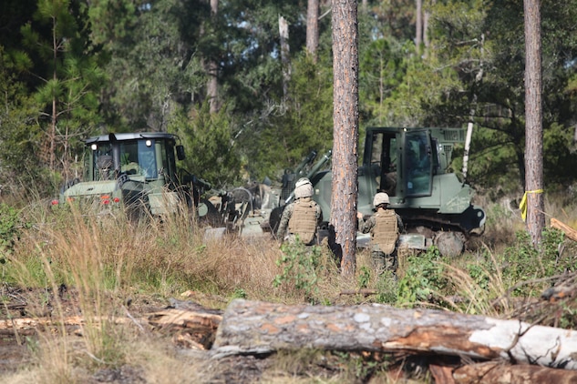 Marine Wing Support Squadron 273 Heavy Equipment platoon operators and maintainers work to clear stumps and leavel sites on Paige Field, Nov. 19. The work of these Marines will Marine Corps Recruit Depot Parris Islands Natural Resources and Environmental Affairs Office.