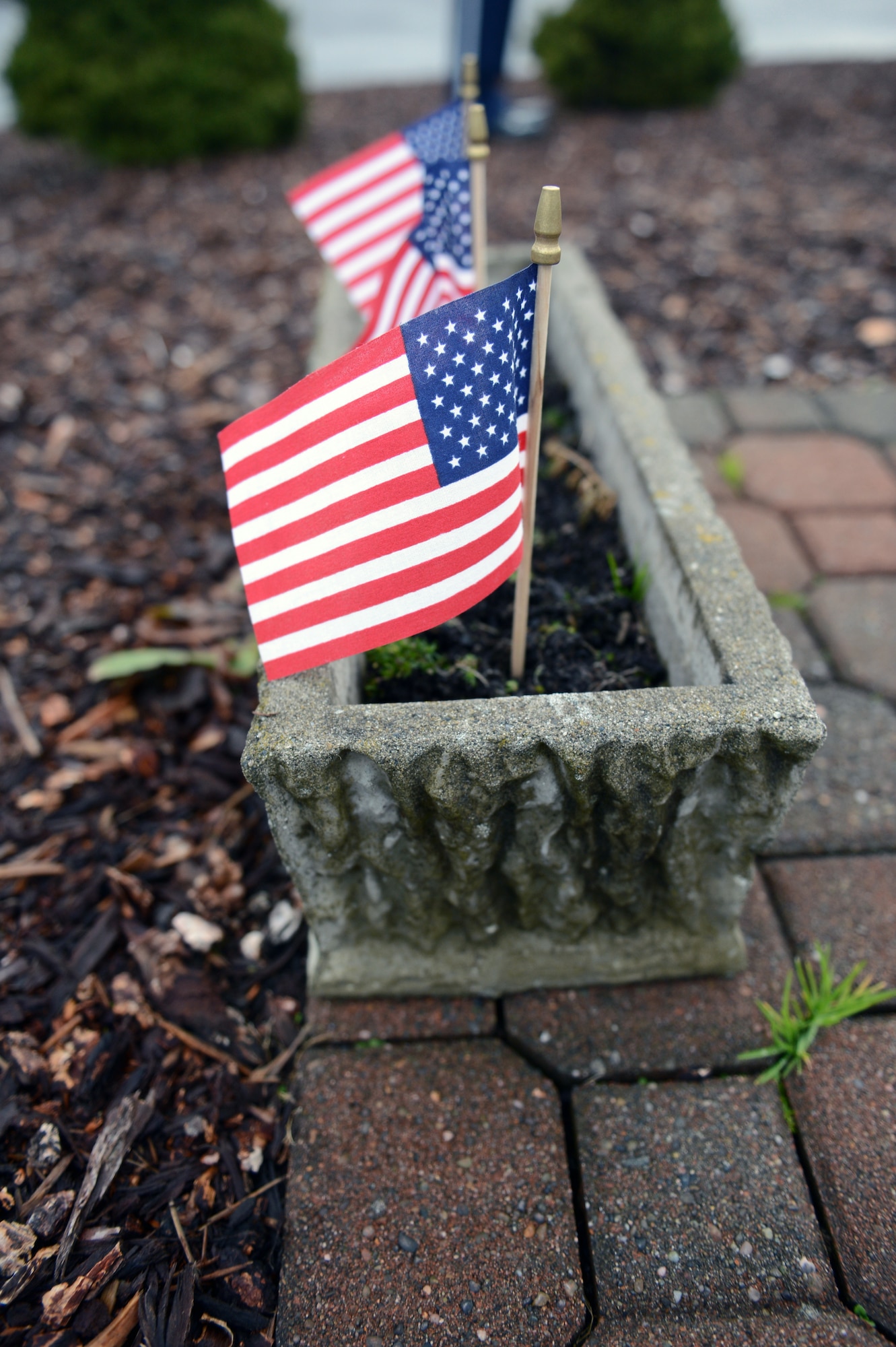 Small American flags were placed in planters around the C-141 memorial site during a ceremony Nov. 30, 2012 at Joint Base Lewis-McChord, Wash., to honor the 13 Airmen who were killed when two C-141 Starlifter aircraft collided over north-central Montana in 1992. The ceremony took place at the C-141 memorial site in between the 4th and 8th Airlift Squadron buildings on McChord Field. (U.S. Air Force photo/Staff Sgt. Frances Kriss)