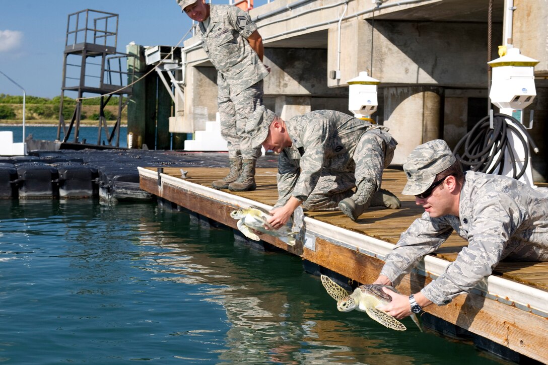 45th Space Wing personnel admire the newly rehabilitated sea turtle before releasing it back into the wild (left to right) Mabel O'Quinn, 45th Civil Engineer Squadron biologist and conservation law enforcement officer, Chief Master Sgt. Carroll Holcombe, 45th Mission Support Group superintendent, Lt. Col. James Sayres, 45th Space Wing Detachment 1 commander, and Col. Robert Pavelko, 45th Space Wing vice commander.  
