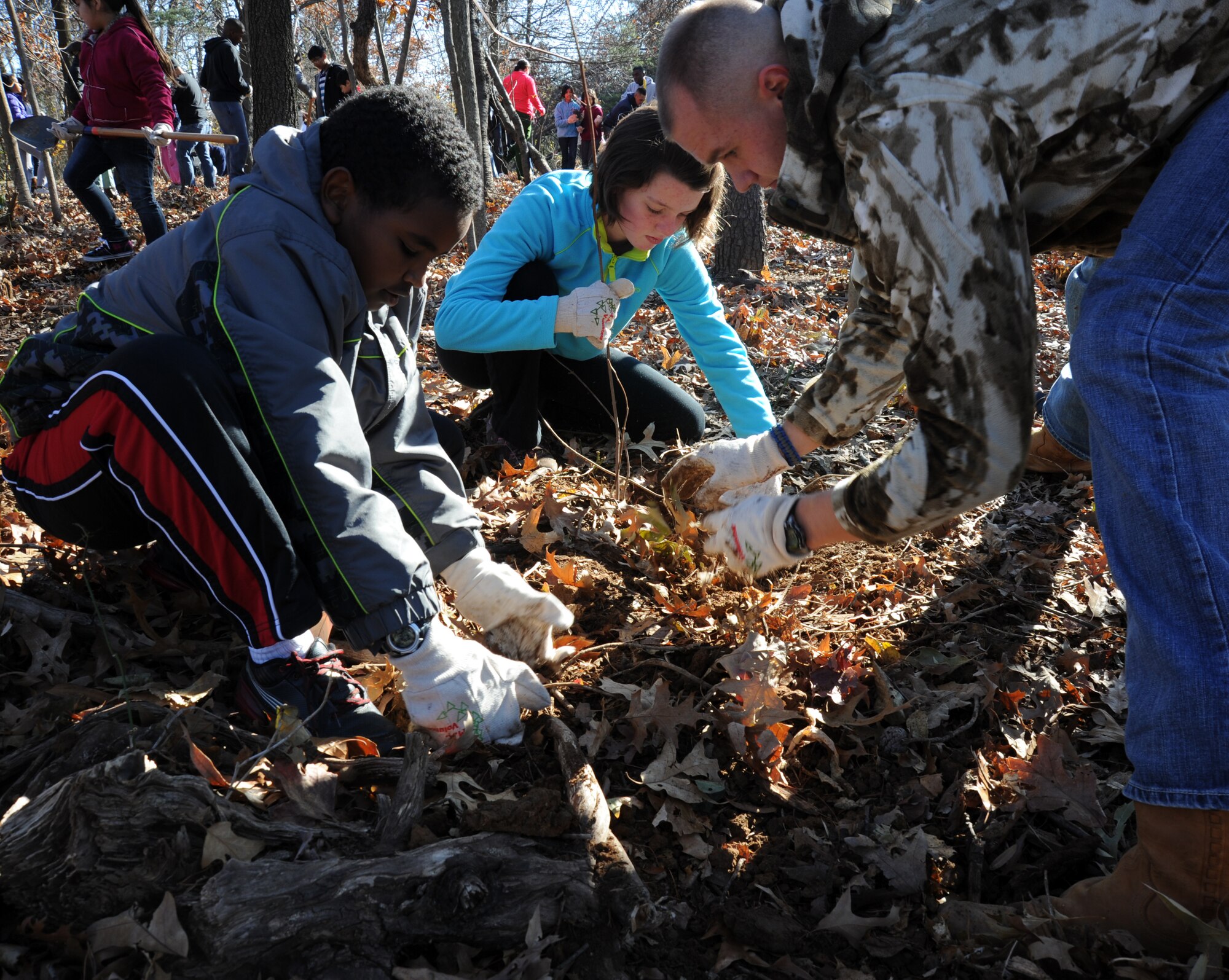 Members of the U.S. Air Force Honor Guard Drill Team and students at Belvedere Elementary School plant a tree at Belvedere Park near the school in Falls Church, Va., Nov. 26, 2012.  The Drill Team has a close relationship with Belvedere Elementary and its students. (U.S. Air Force photo/Staff Sgt. Torey Griffith)