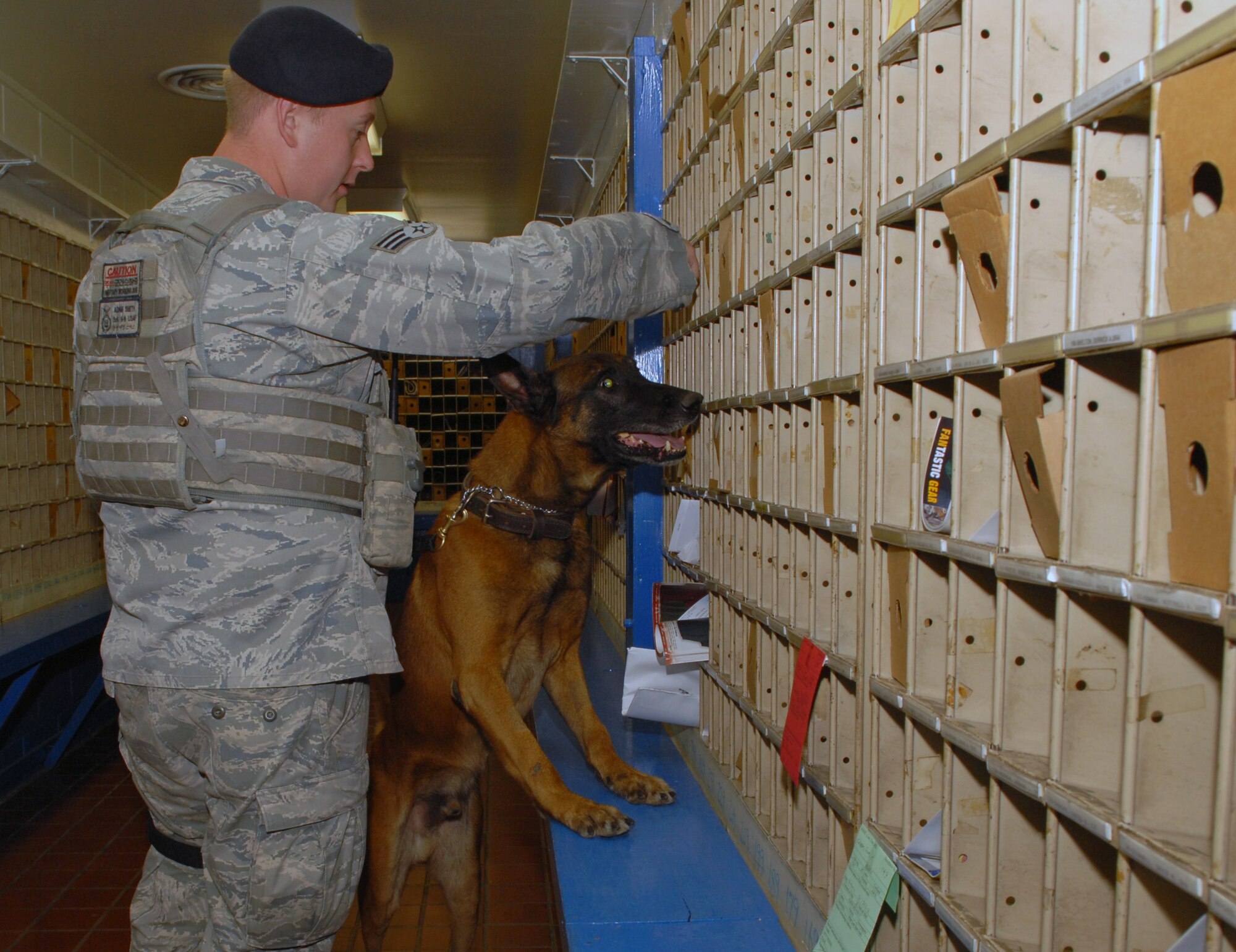 KUNSAN AIR BASE, Republic of Korea -- Senior Airman Adam Smith, of the 8th Security Forces Squadron (SFS) Military Working Dog handler, and Iian does a sweep of the post office on at Kunsan Air Base (AB,) Republic of Korea (ROK,) Nov. 21, 2012. Iian, a nine -year-old Belgian Malinois, is trained to detect explosives or narcotics. (US Air Force photo by Staff Sgt. Tong Duong/ released)