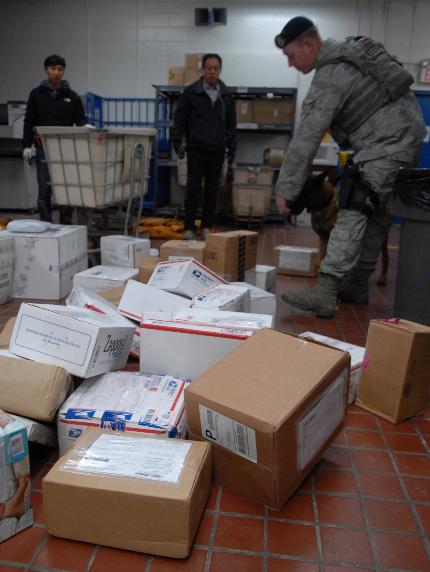 KUNSAN AIR BASE, Republic of Korea -- Hundreds of packages and mail arrive weekly at Kunsan Air Base (AB,) Republic of Korea (ROK,) which must be swept by the 8th Security Forces (SFS) Military Working Dog section for explosives or narcotics. Iian, a nine -year-old Belgian Malinois has kept Wolf Pack members safe for more than seven years. (US Air Force photo by Staff Sgt. Tong Duong/ released)